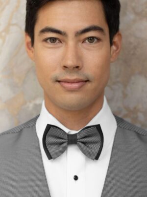 FOUNDATION STEEL GREY BOW TIE