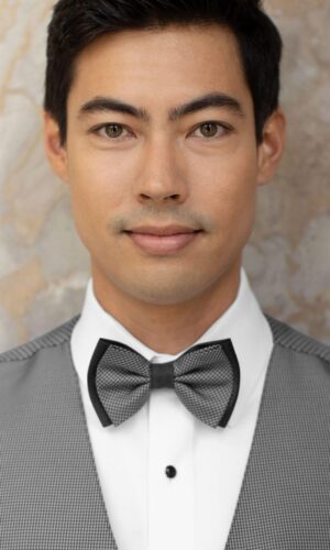 FOUNDATION STEEL GREY BOW TIE