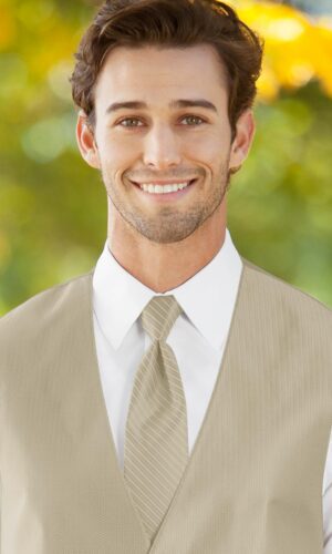 STRIPED HERRINGBONE CHAMPAGNE WINDSOR