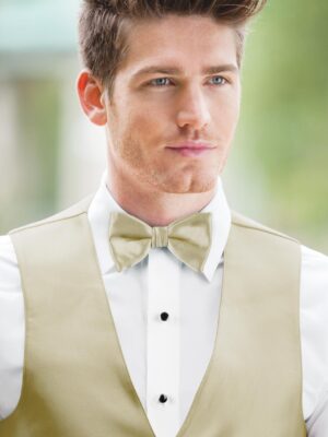 EXPRESSIONS CHAMPAGNE BOW TIE