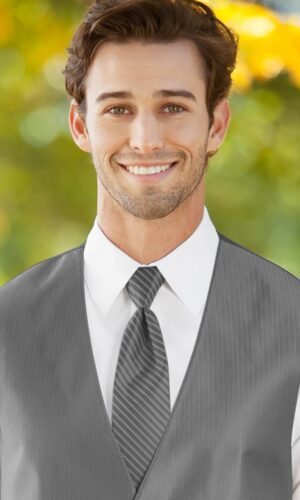 STRIPED HERRINGBONE PLATINUM WINDSOR