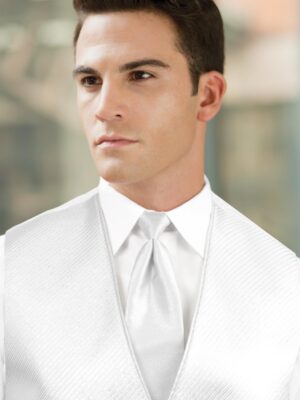 SOLID SILVER METALLIC WINDSOR