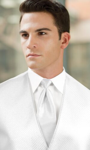 SOLID SILVER METALLIC WINDSOR