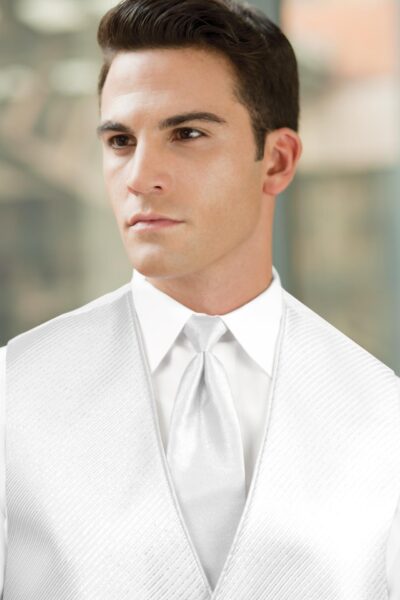 SOLID SILVER METALLIC WINDSOR
